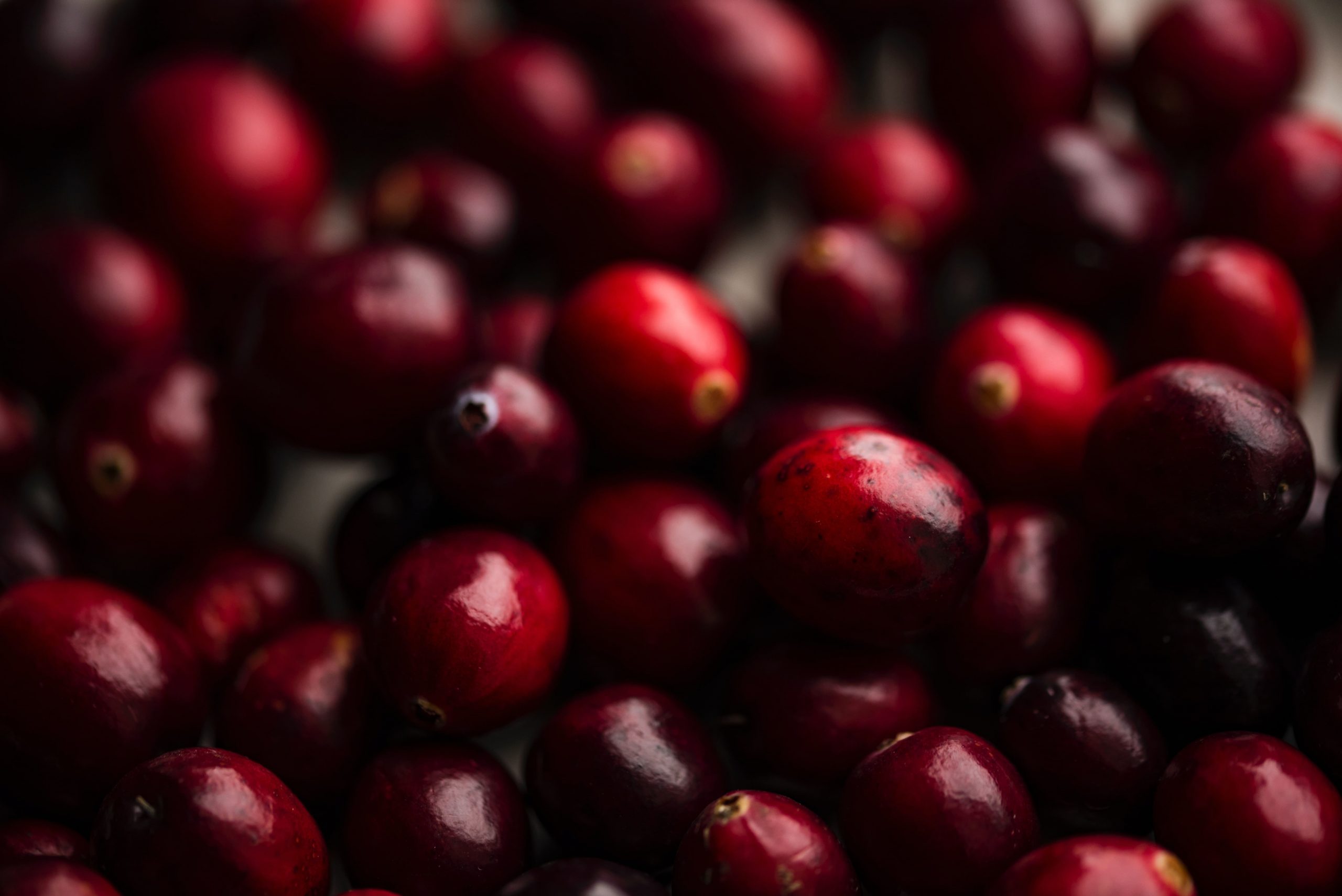 a bunch of cranberries close up