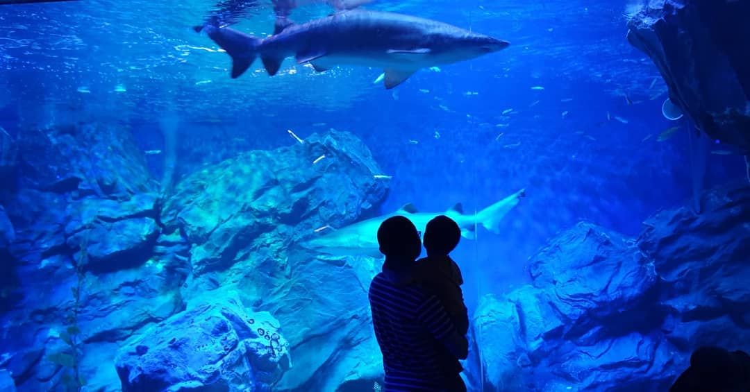 two people at aquarium