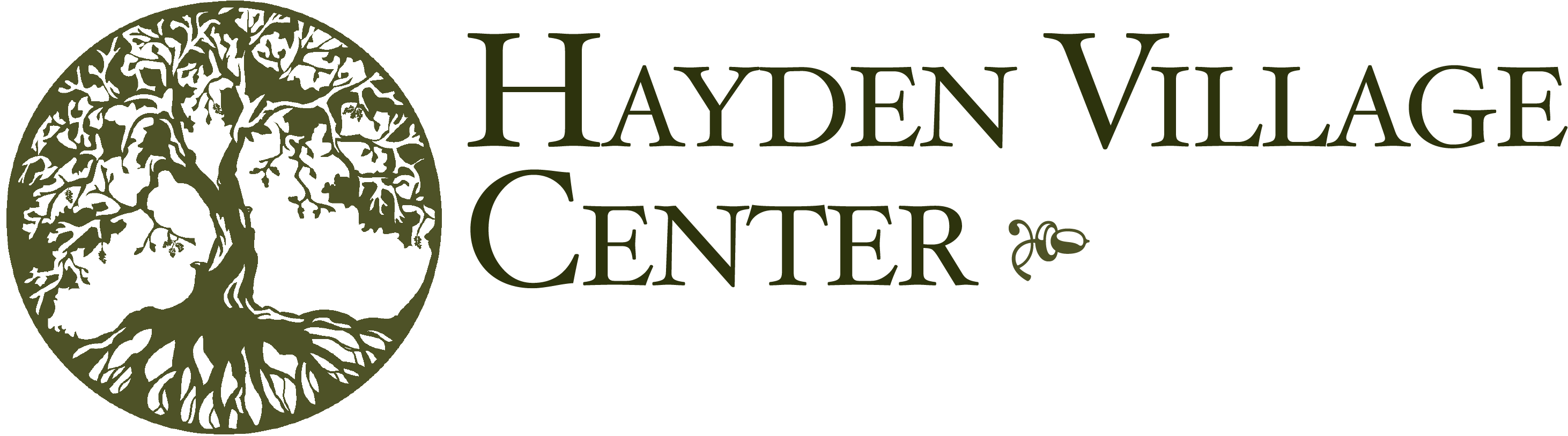 Hayden Village Center
