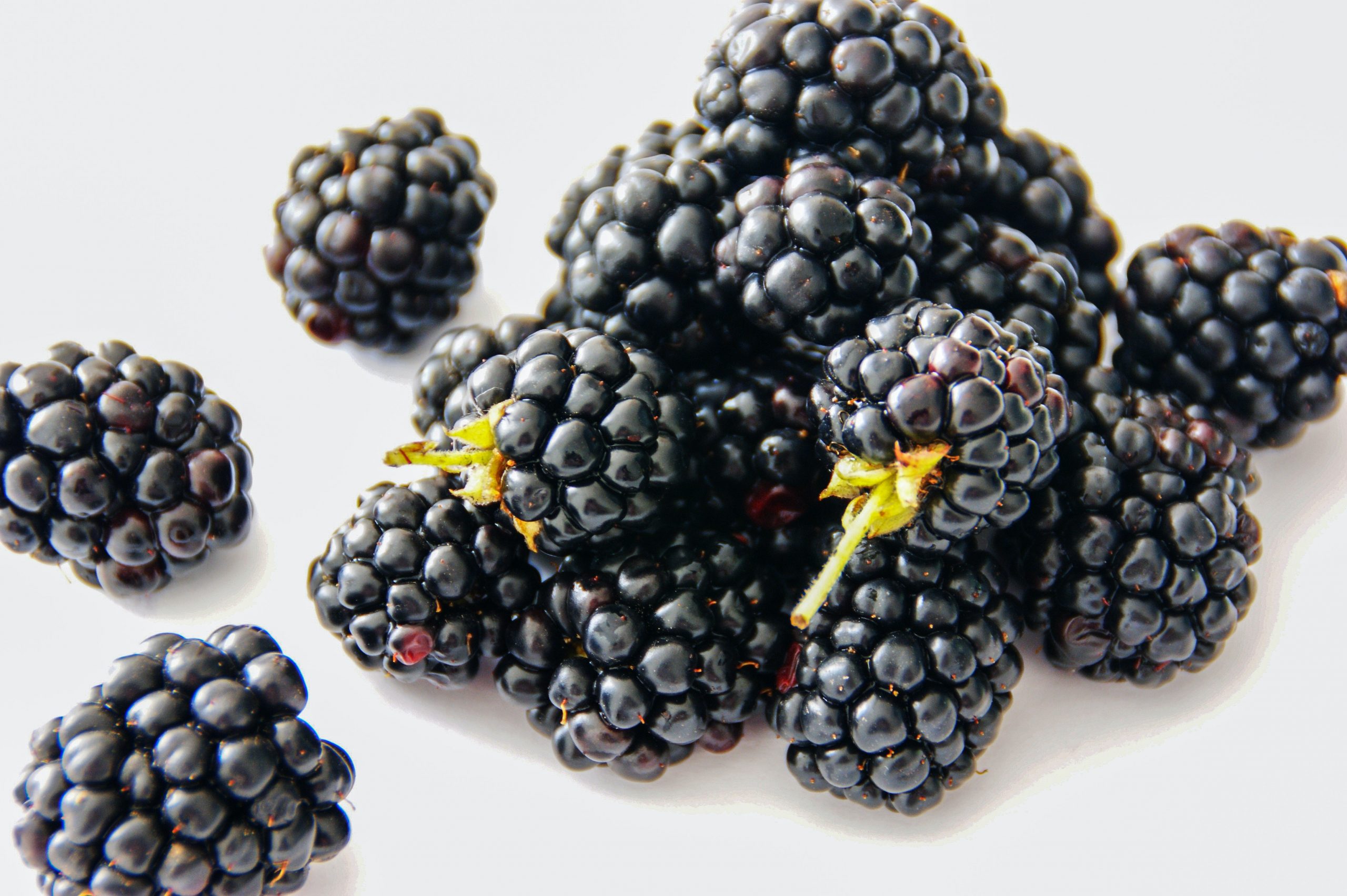 It’s Blackberry Season – Health Benefits, Tips, and Bonus Recipe