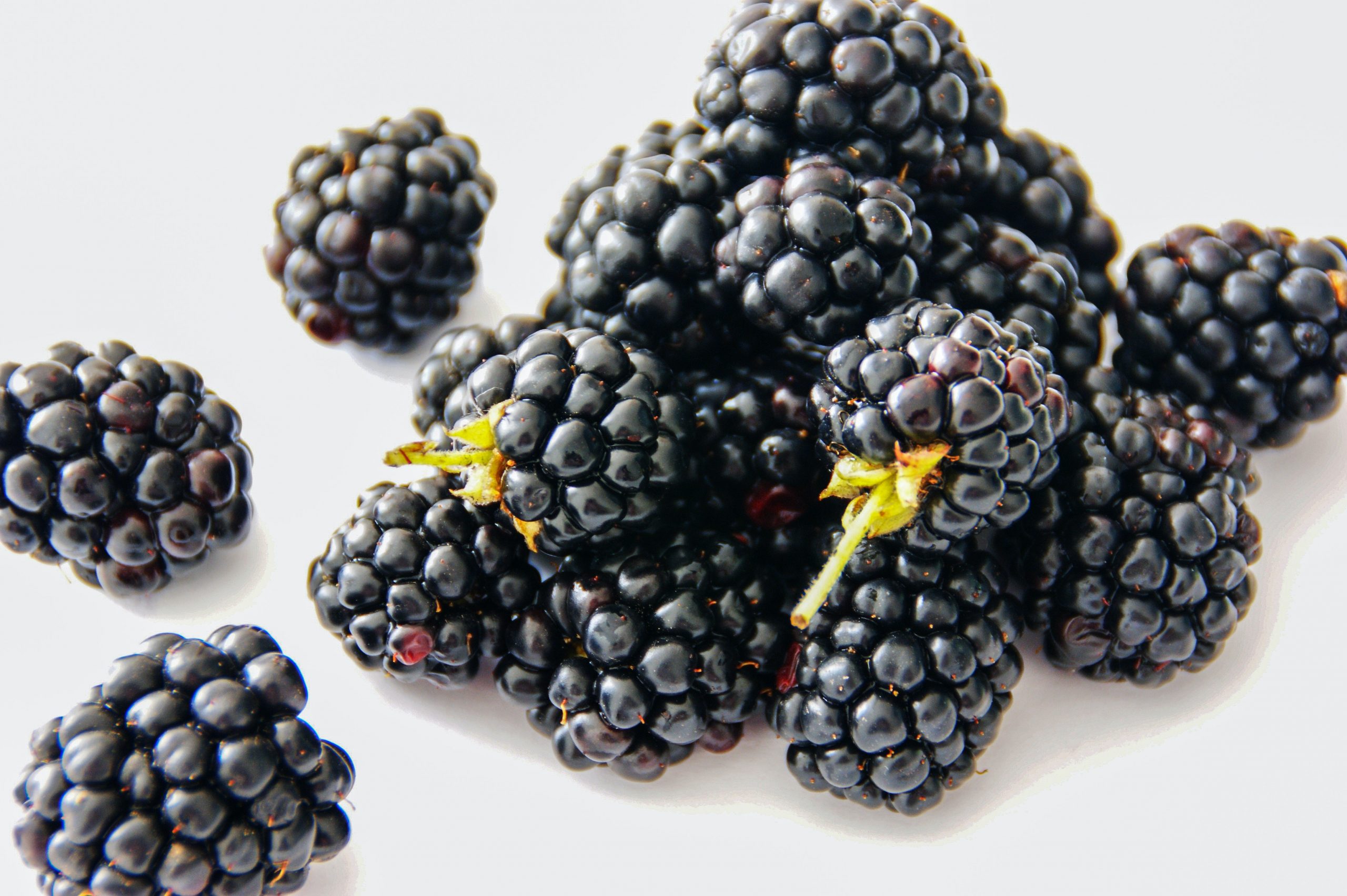 It’s Blackberry Season – Health Benefits, Tips, and Bonus Recipe It’s Blackberry Season – Health Benefits, Tips, and Bonus Recipe