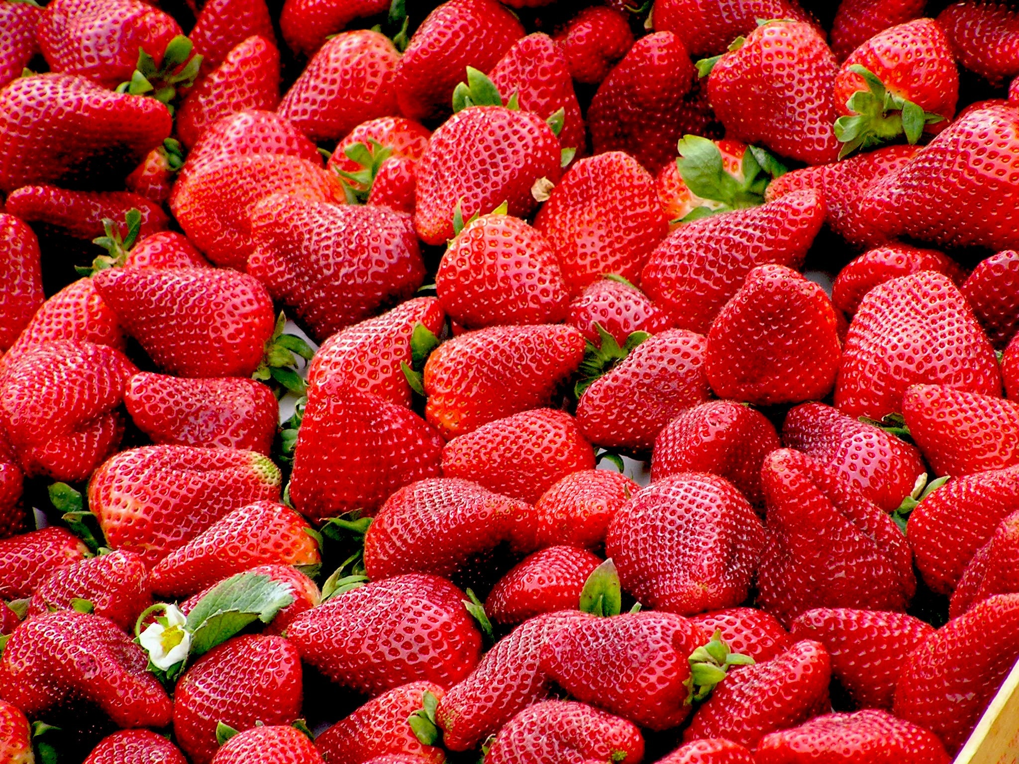 strawberries