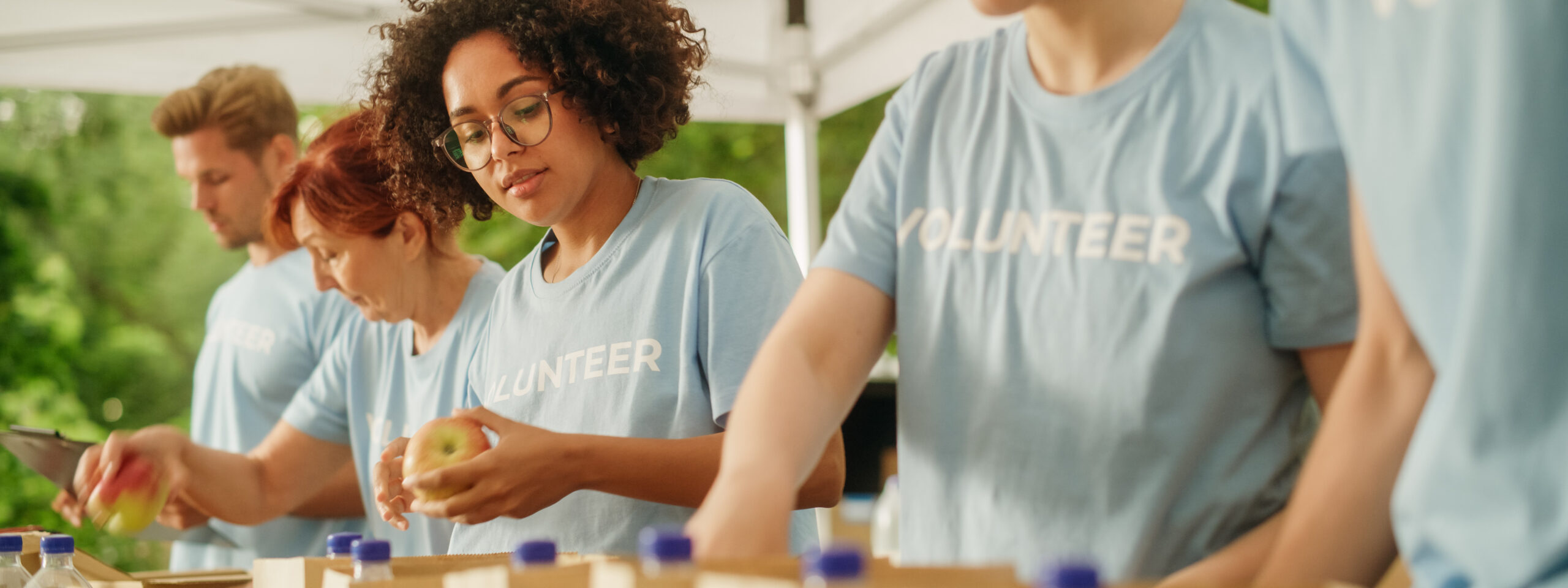 Volunteer