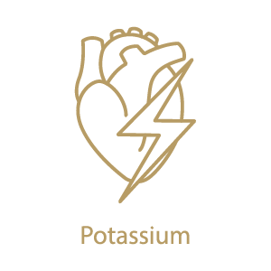 Potassium icon graphic