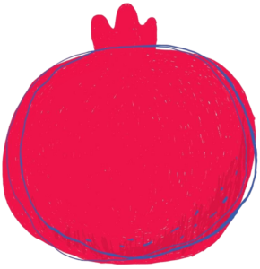 pomegranate illustration